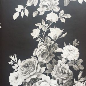 Meet your Posher, Suzann